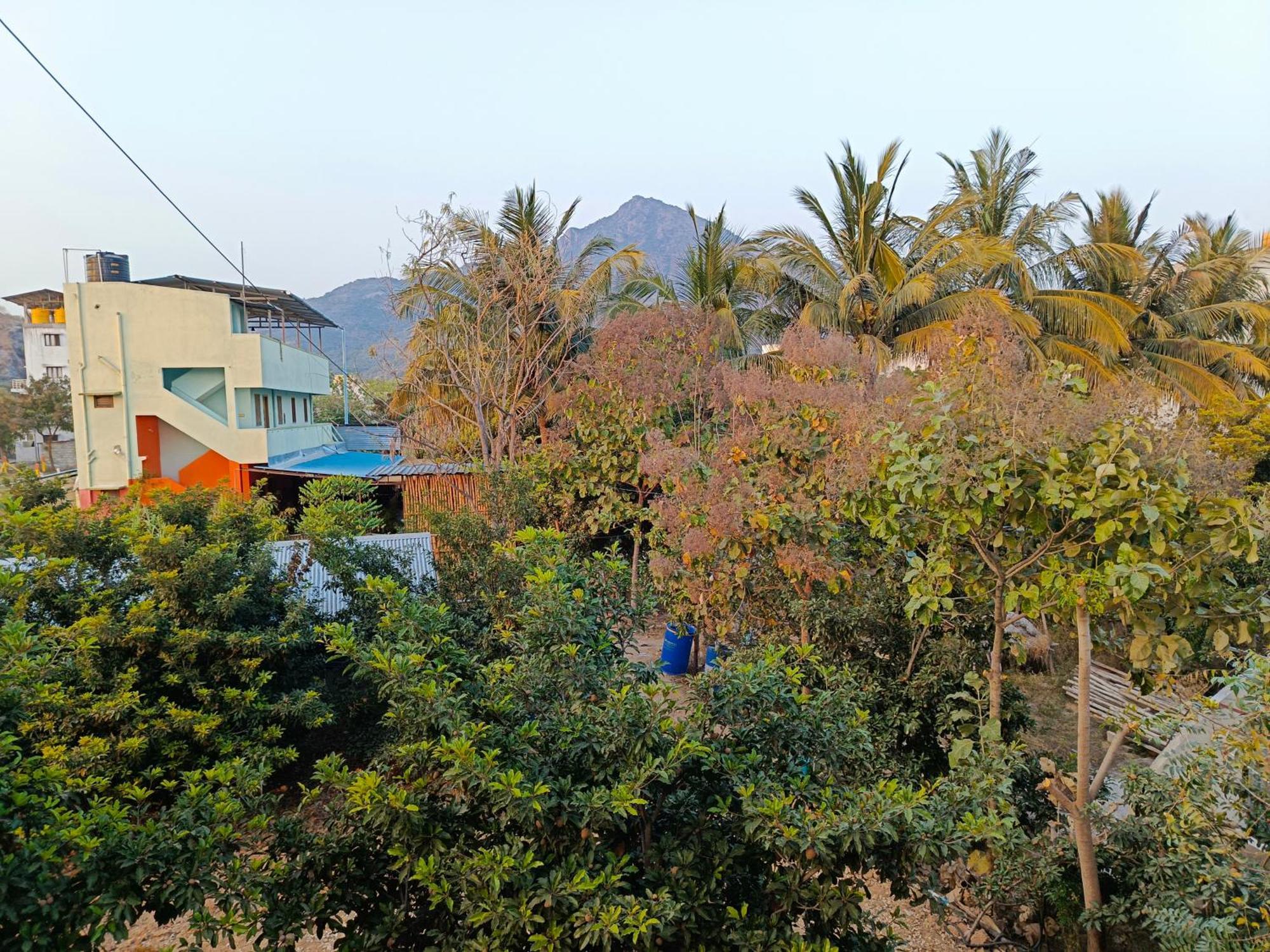 Abaranji Guest House Tiruvannāmalai Zewnętrze zdjęcie